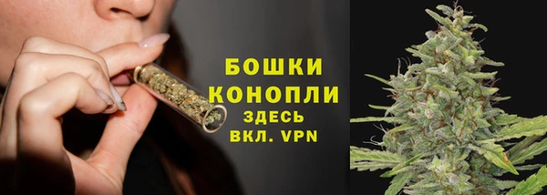 бошки Пересвет