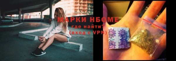 индика Баксан