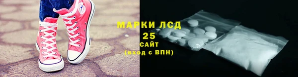 индика Баксан