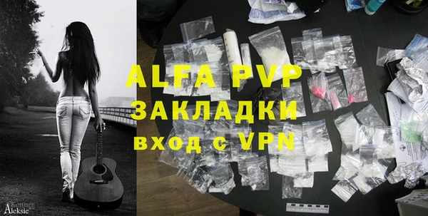 индика Баксан