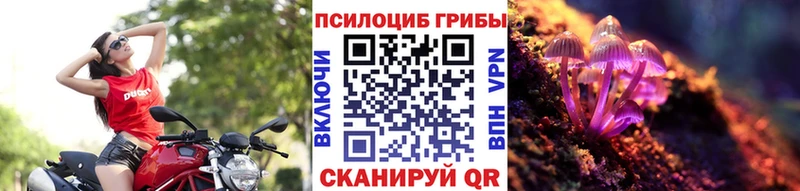 Псилоцибиновые грибы MAGIC MUSHROOMS  где купить наркоту  МЕГА как зайти  Тихвин 