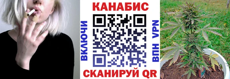 Бошки Шишки семена Тихвин